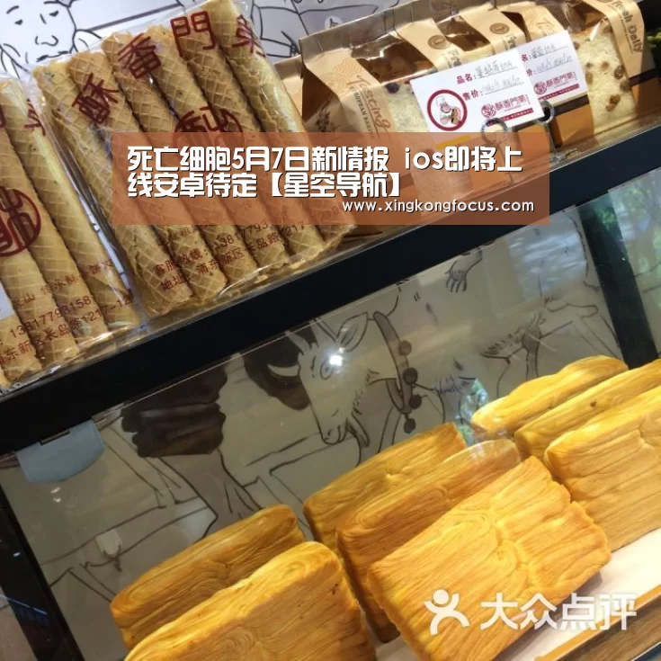 死亡细胞5月7日新情报 ios即将上线安卓待定【星空导航】(图3) 星空赛事