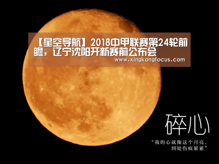 【星空导航】2018中甲联赛第24轮前瞻,辽宁沈阳开新赛前公布会(图3) 星空数据